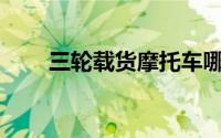 三轮载货摩托车哪个品牌性价比高？