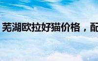 芜湖欧拉好猫价格，配置升级，值不值得买？