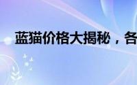蓝猫价格大揭秘，各配置车型售价一览表