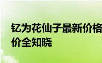 钇为花仙子最新价格2024款，各配置车型售价全知晓