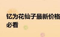 钇为花仙子最新价格2024款大揭秘，买车前必看