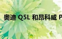 奥迪 Q5L 和昂科威 Plus 谁的动力更强劲？