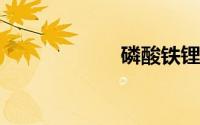 磷酸铁锂电池寿命