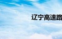 辽宁高速路况查询今天