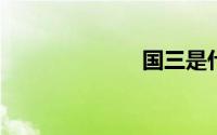 国三是什么意思