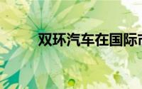 双环汽车在国际市场的表现如何？