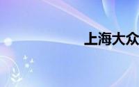 上海大众车型大全