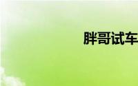 胖哥试车游记全集