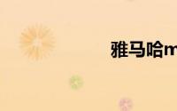 雅马哈mt09报价