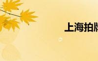 上海拍牌照官网
