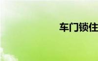 车门锁住开锁标志