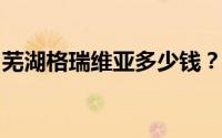 芜湖格瑞维亚多少钱？选车秘籍与优惠全公开