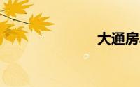 大通房车rg10