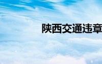陕西交通违章查询官方网站