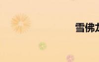 雪佛龙公司