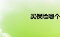 买保险哪个保险公司好