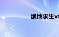 绝地求生van是什么车