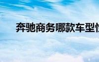 奔驰商务哪款车型性价比高且价格适中
