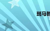 斑马智行3.0