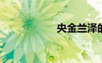 央金兰泽的个人简历