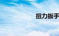 扭力扳手规格型号