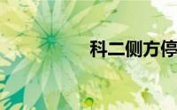 科二侧方停车技巧图解
