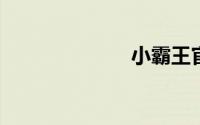 小霸王官网首页