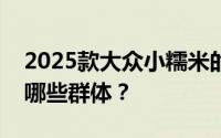 2025款大众小糯米的市场定位和目标受众是哪些群体？