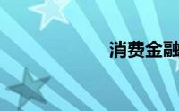 消费金融有限公司