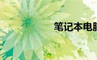 笔记本电脑可以托运