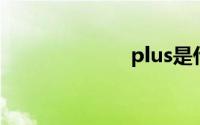 plus是什么意思