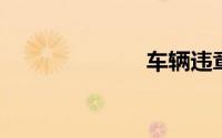 车辆违章查询网