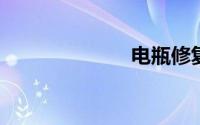 电瓶修复液配方