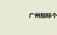 广州指标个人申请系统