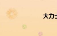 大力士图片