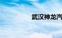 武汉神龙汽车有限公司