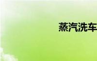 蒸汽洗车机优缺点