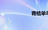 青桔单车优惠券