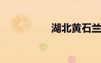 湖北黄石兰博基尼酒店