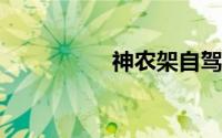 神农架自驾游最佳路线