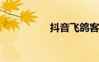 抖音飞鸽客服系统下载