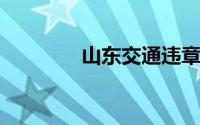 山东交通违章查询官方网站