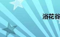 浴花谷花卉网