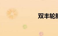 双丰轮胎怎么样
