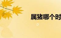 属猪哪个时辰出生最好