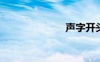 声字开头的成语