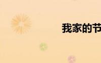 我家的节日800字
