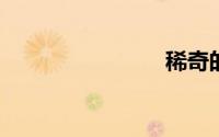 稀奇的意思