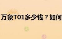 万象T01多少钱？如何用最低价买到心仪车型