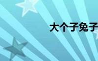 大个子兔子和小个子狼
